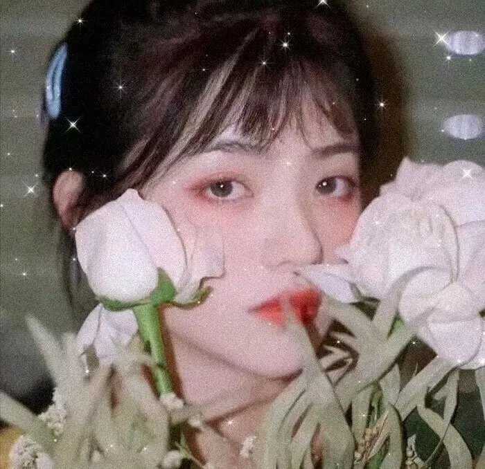 挪威的森林