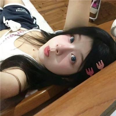 被怀疑:兔子和刺猬
